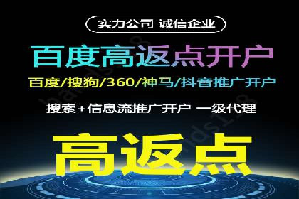 行业领先企业的信息流竞价策略揭秘